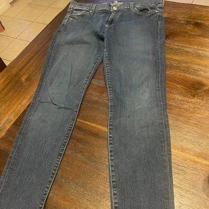 7 For all Mankind - The Skinny Size 32